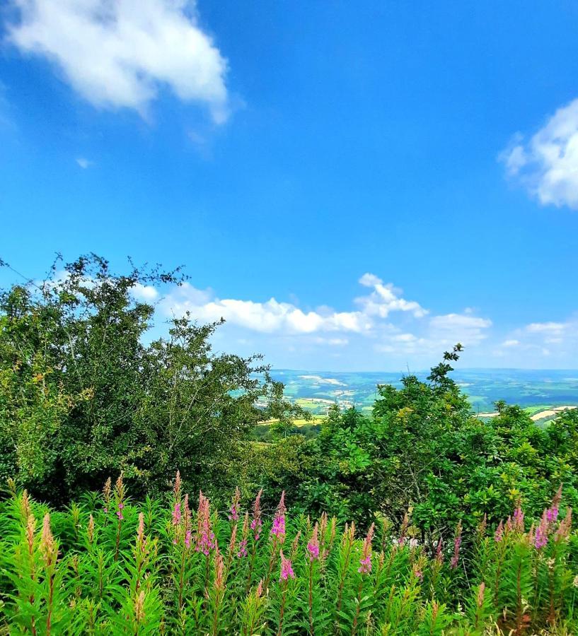 Summit Camping Kit Hill Cornwall Panoramic Views Grass Pitch From 15Pn Or Bella Bell Tent 75Pn Callington Exterior foto